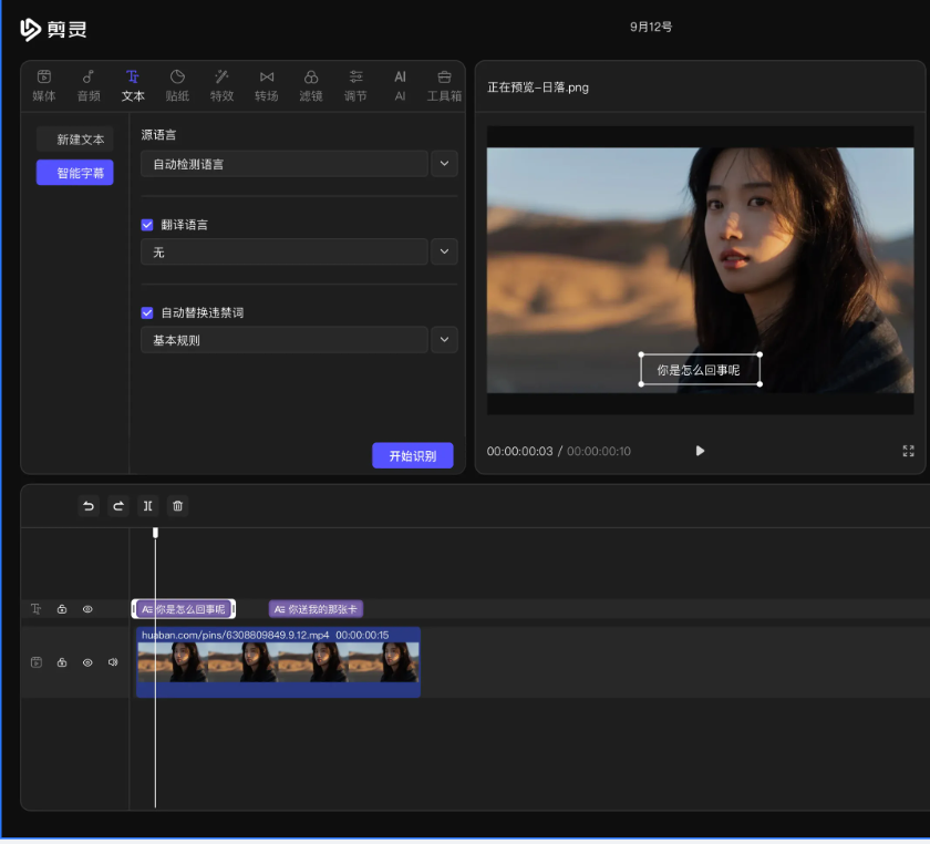 image-20250224164350076